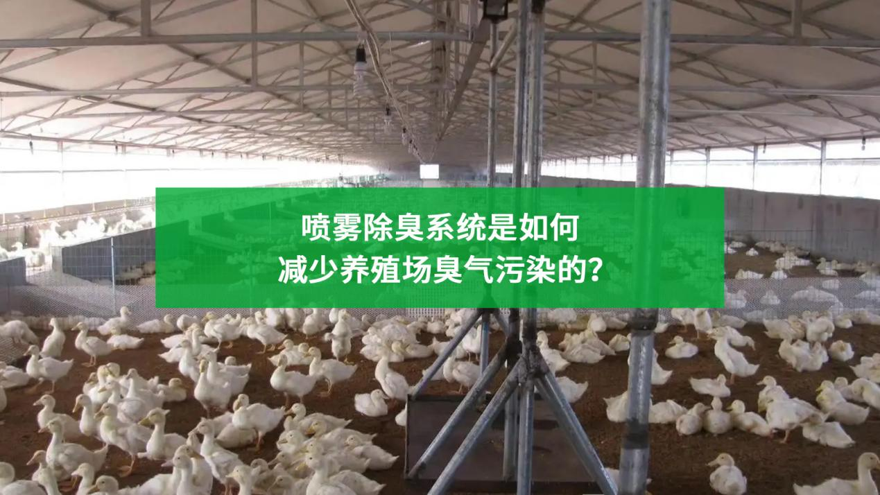 喷雾除臭系统是如何减少养殖场臭气污染的？